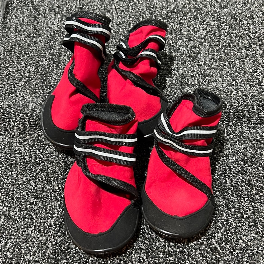 Dog Booties